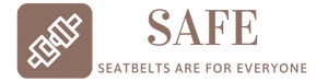 SAFE Logo